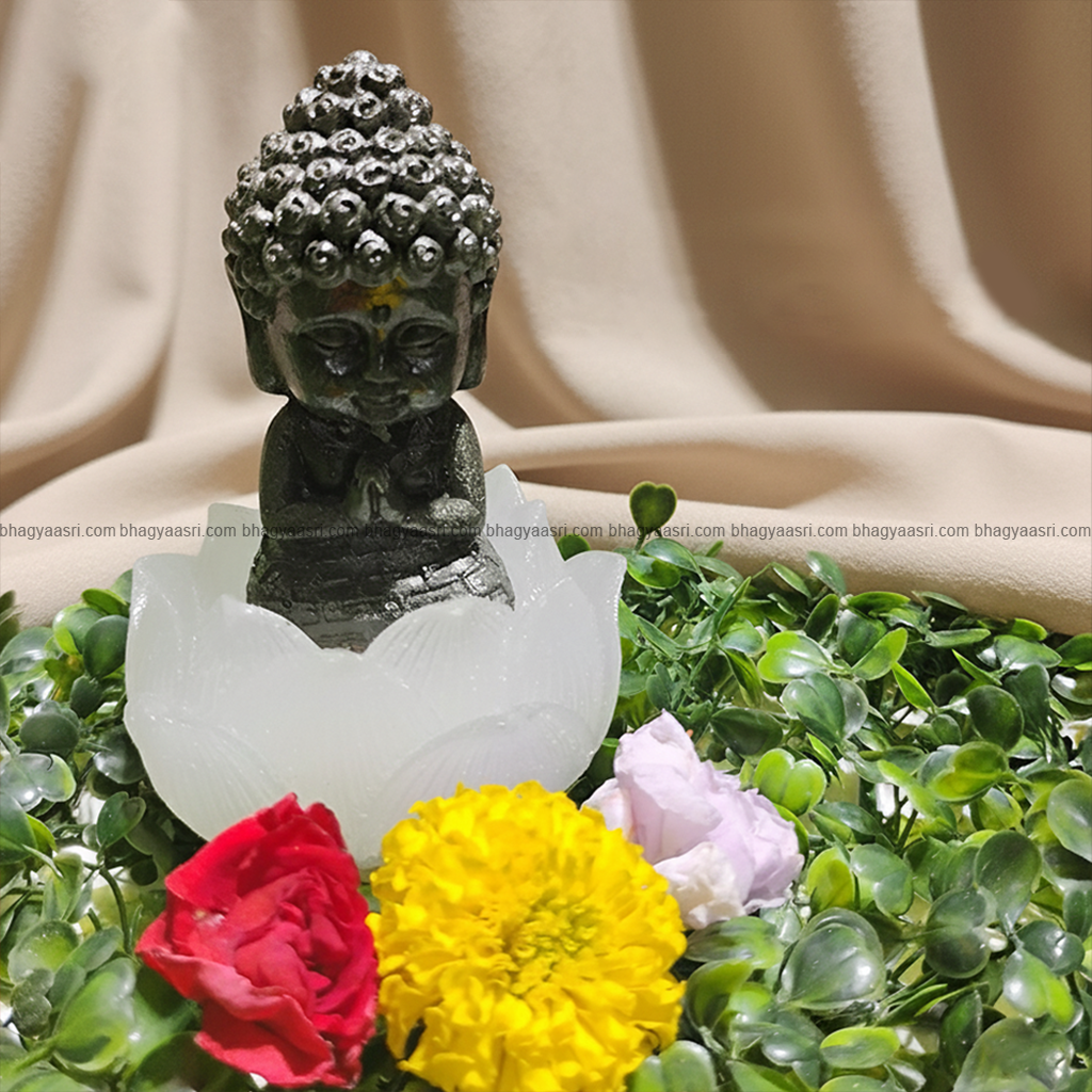 auto draft auto draft